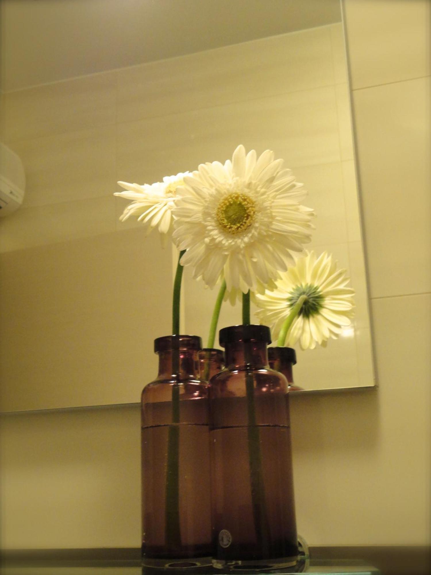 Dubrovnik Sunrise Apartment Δωμάτιο φωτογραφία